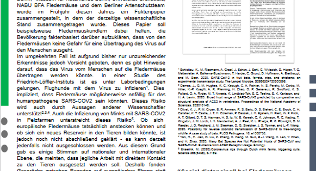 Fledermauskundliche Mitteilungen 2020/2 der Fledermauswarte erschienen