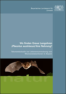 Wo finden Graue Langohren (Plecotus austriacus) ihre Nahrung? Telemetriestudie zur Lebensraumnutzung von Wochenstubentieren in Bayern