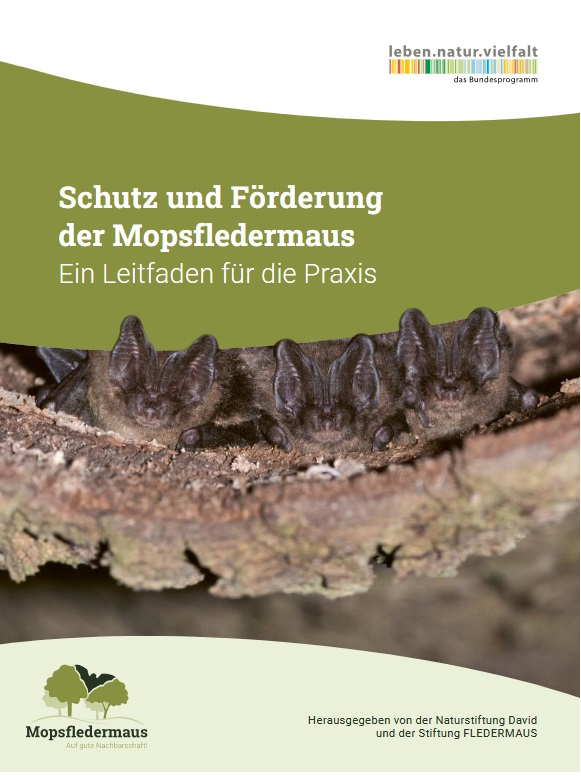 Leitfaden zum Schutz und zur Förderung der Mopsfledermaus